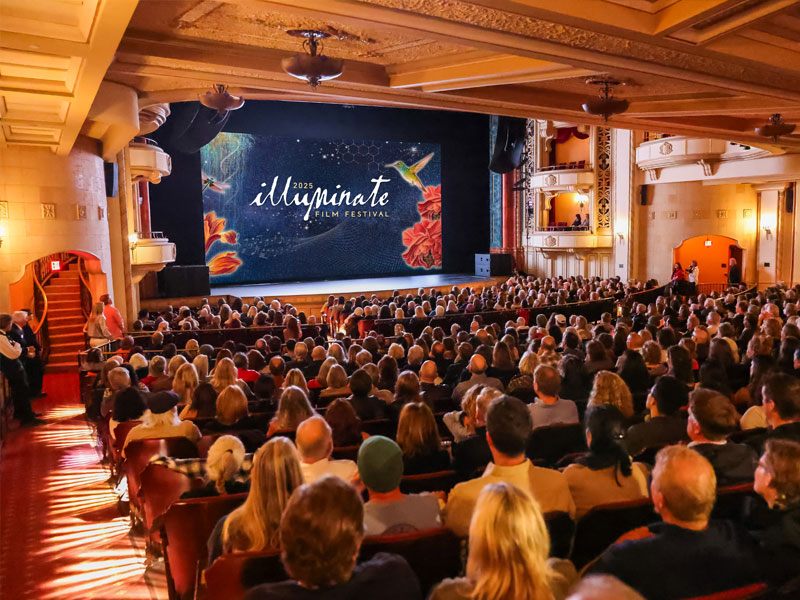 ILLUMINATE Film Festival