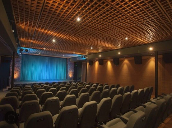 Mary D Fisher Theatre